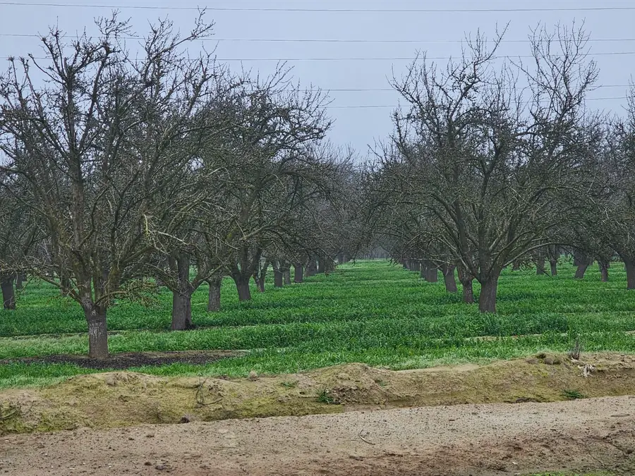 200 S Hayes Avenue, Fresno, CA 93723 - Image #2