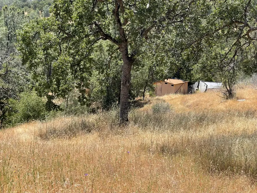 3608 Ramblin Road, Mariposa, CA 95338 - Image #3