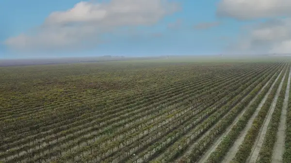 15765 Dickenson Avenue, Riverdale, CA 93656