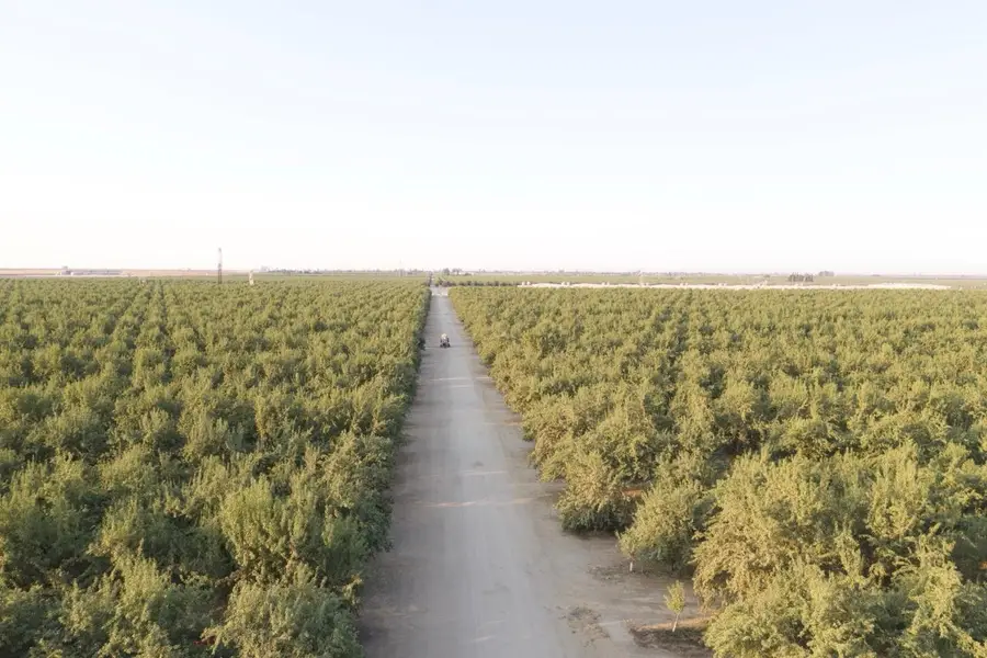 0 N Palm, Wasco, CA 93280 - #2