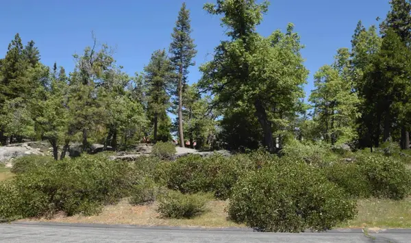 43006 Garnet Lane #lot36, Shaver Lake, CA 93664