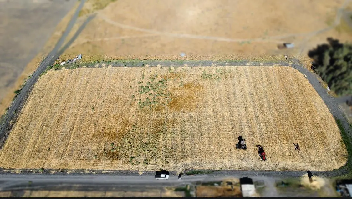 0 Reynolds Ave, Dos Palos, CA 93620 - #1