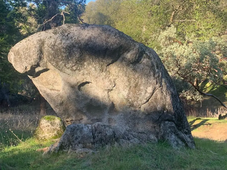 39516 John West Road, Oakhurst, CA 93644 - #3