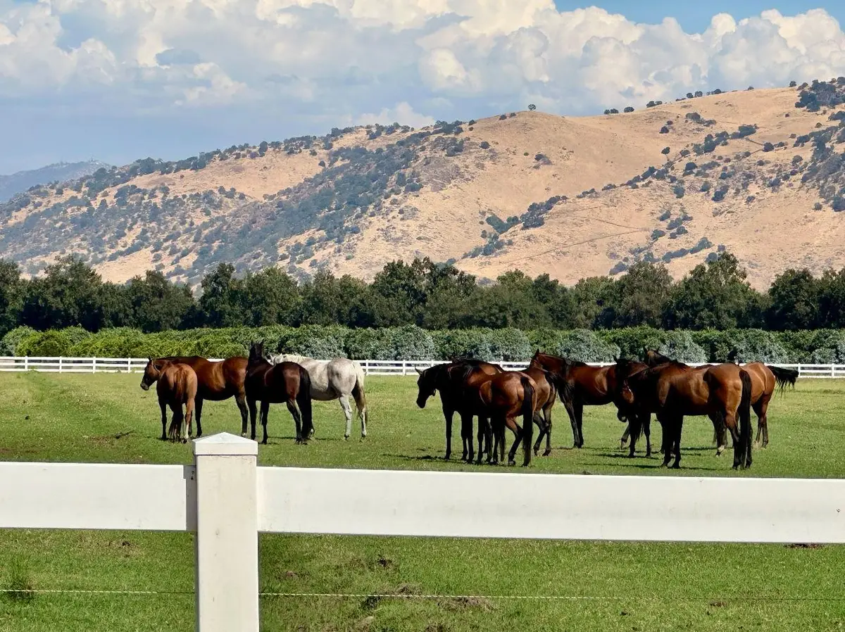 17281 E Belmont Avenue, Sanger, CA 93657 - #1