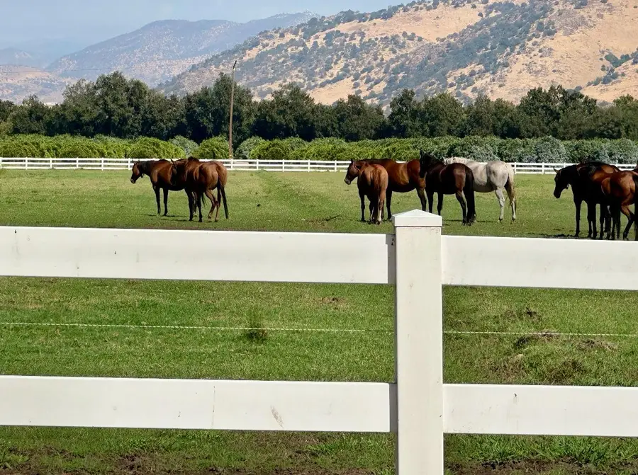 17281 E Belmont Avenue, Sanger, CA 93657 - #2