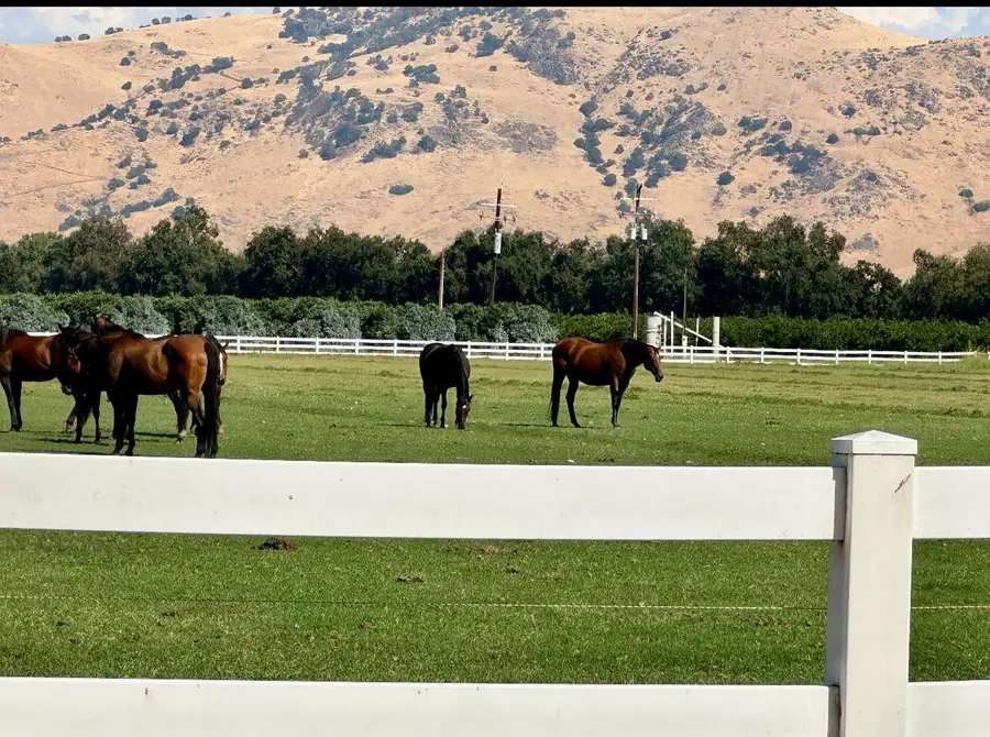 17281 E Belmont Avenue, Sanger, CA 93657 - #3