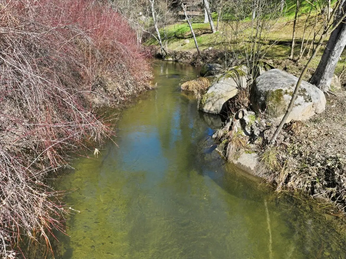 40833 Winding Way, Oakhurst, CA 93644 - #1