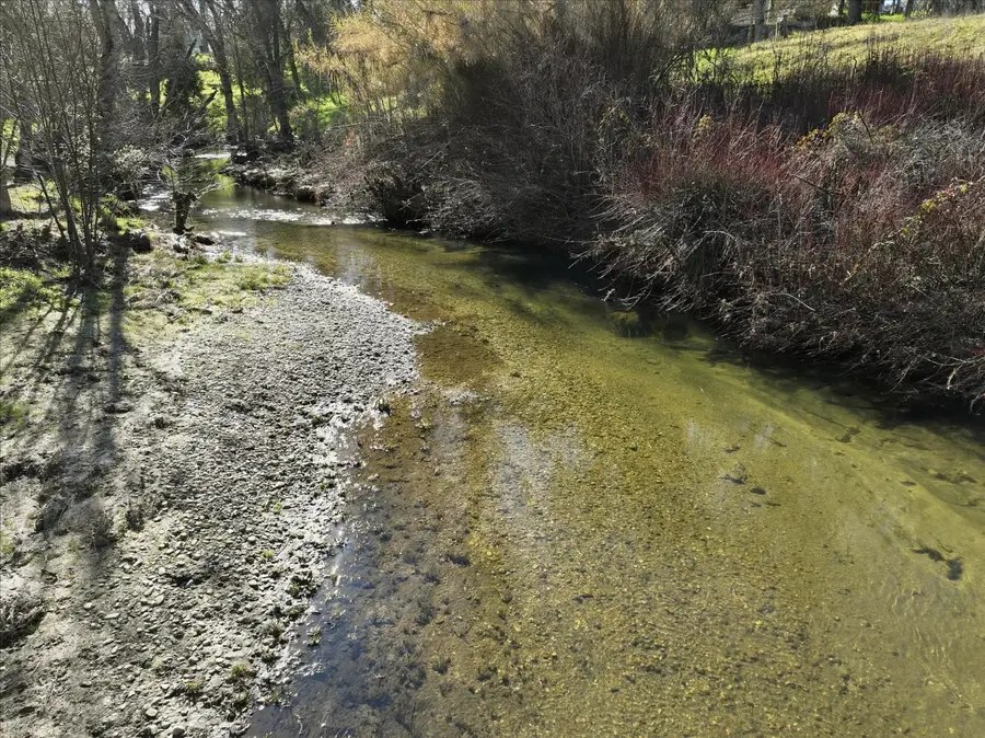 40833 Winding Way, Oakhurst, CA 93644 - #3