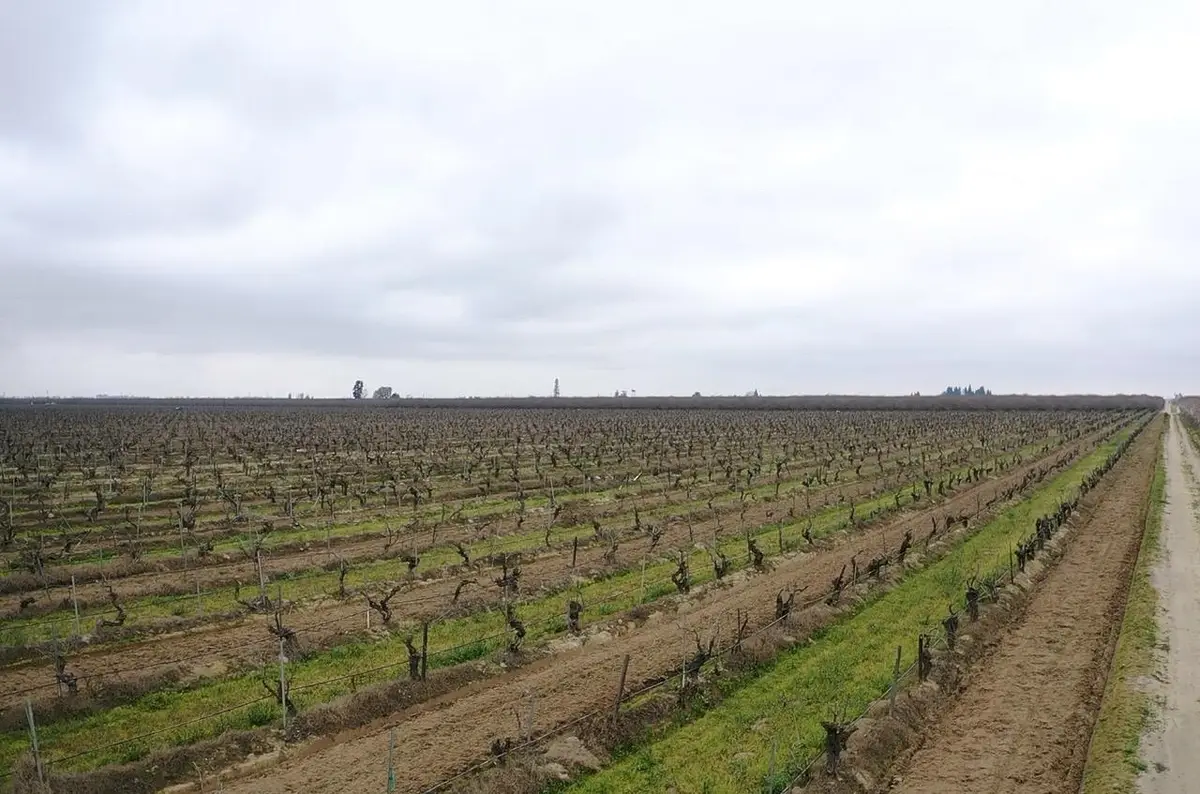 6837 S Granada, Madera, CA 93637 - #1