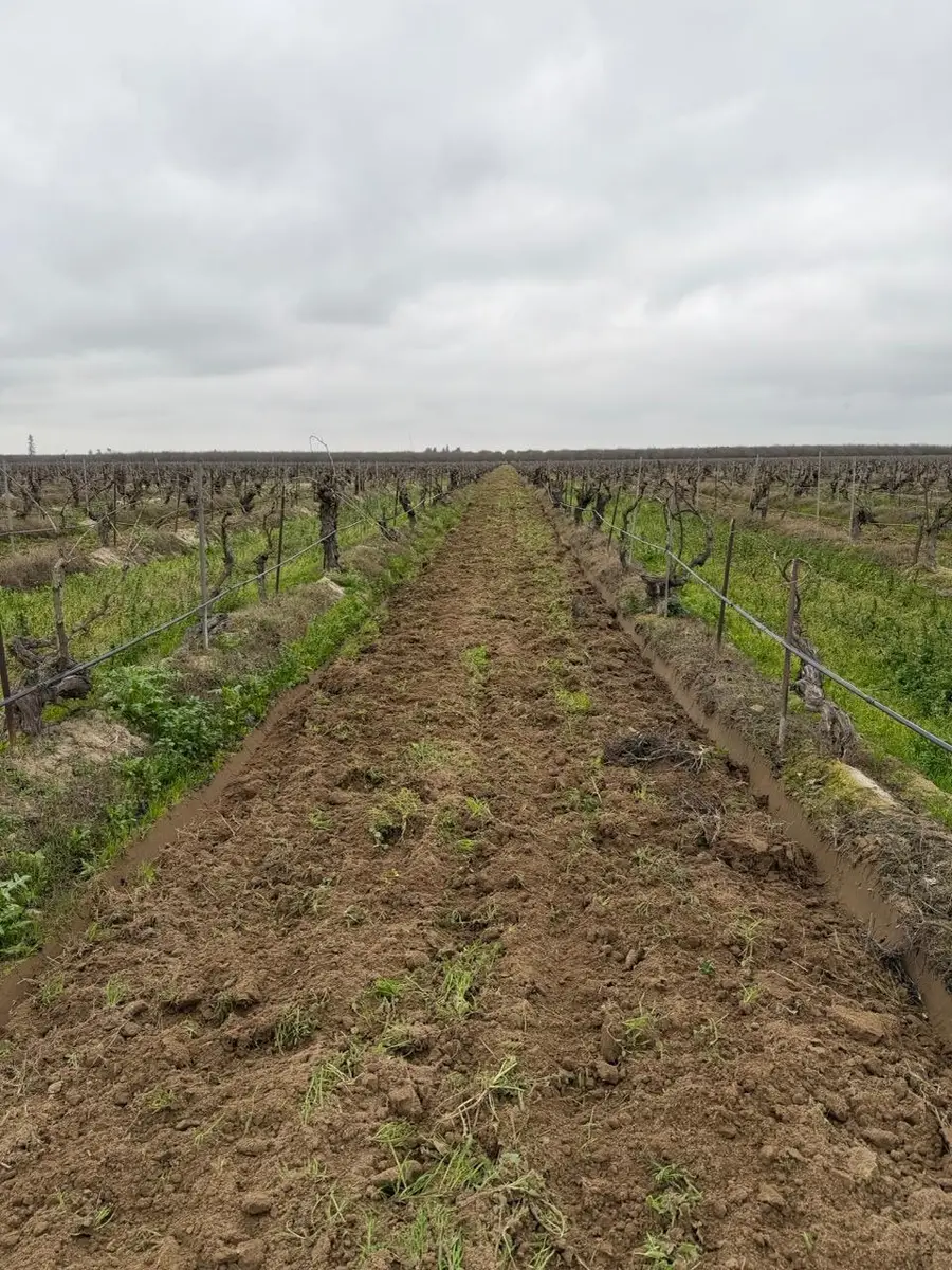 6837 S Granada, Madera, CA 93637 - #3