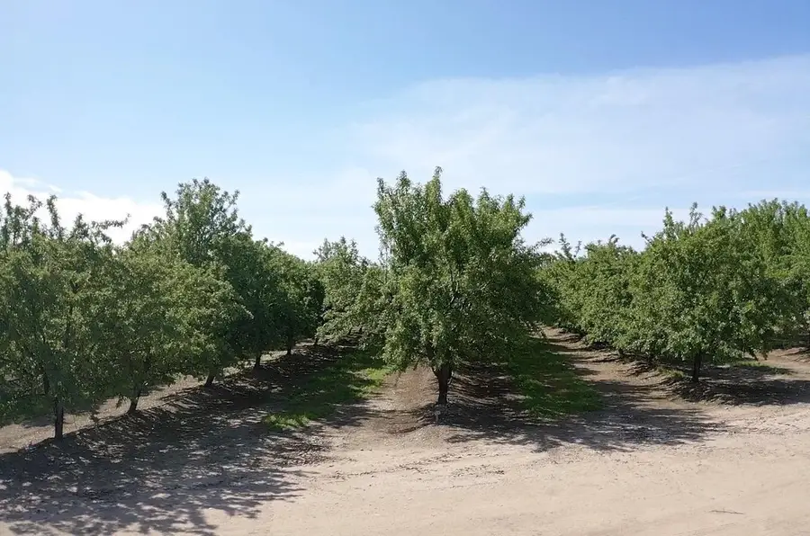 5923 N Biola Avenue, Fresno, CA 93723 - Image #3