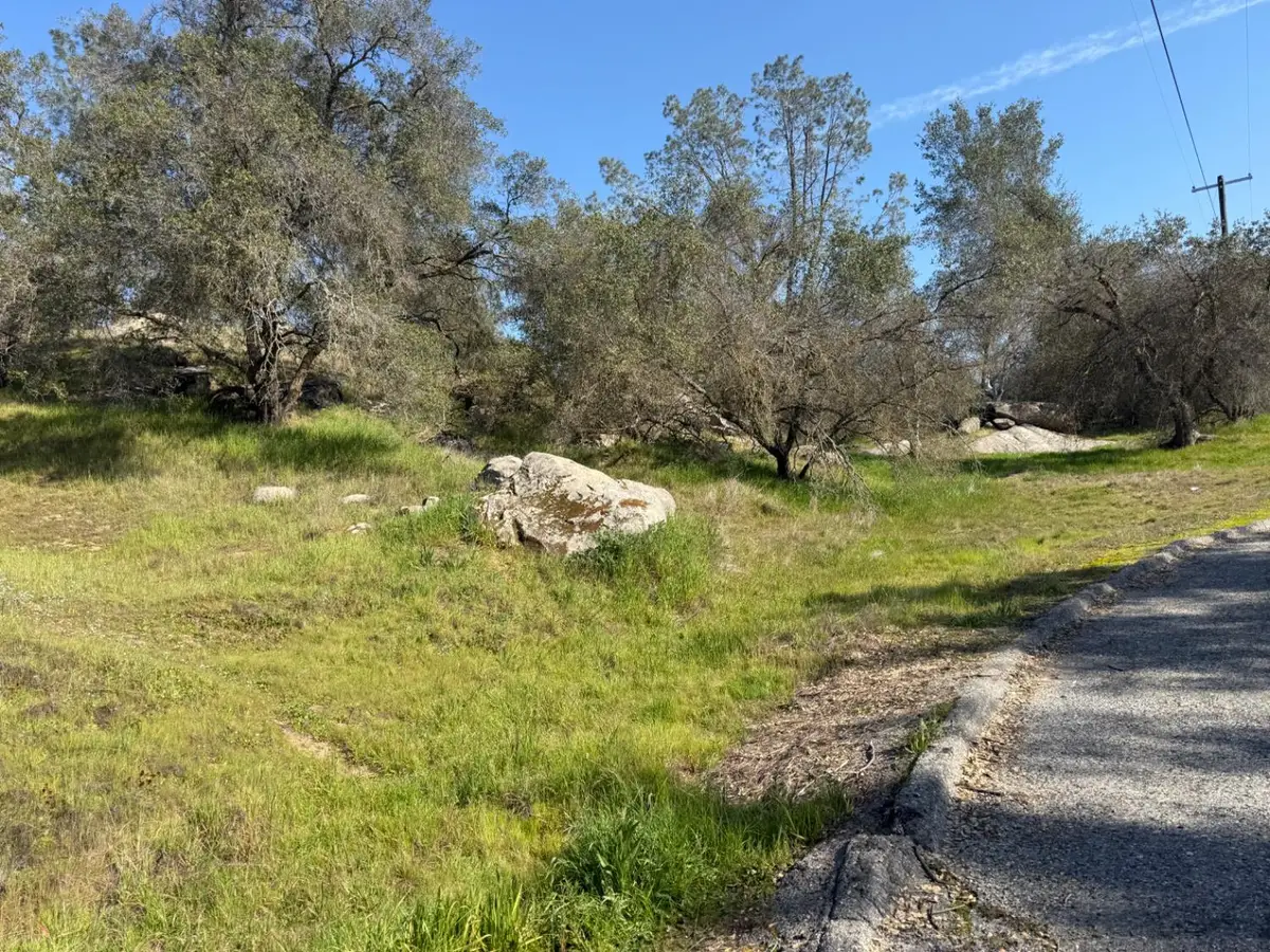 0 Long Hollow Drive, Coarsegold, CA 93614 - #1