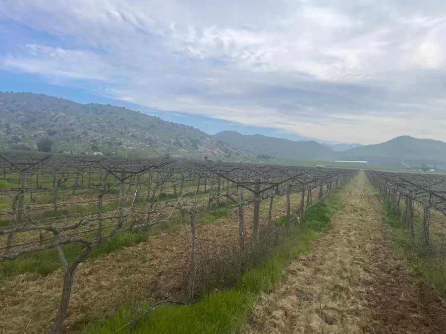 0 E Olive Avenue E, Porterville, CA 93257 - #3