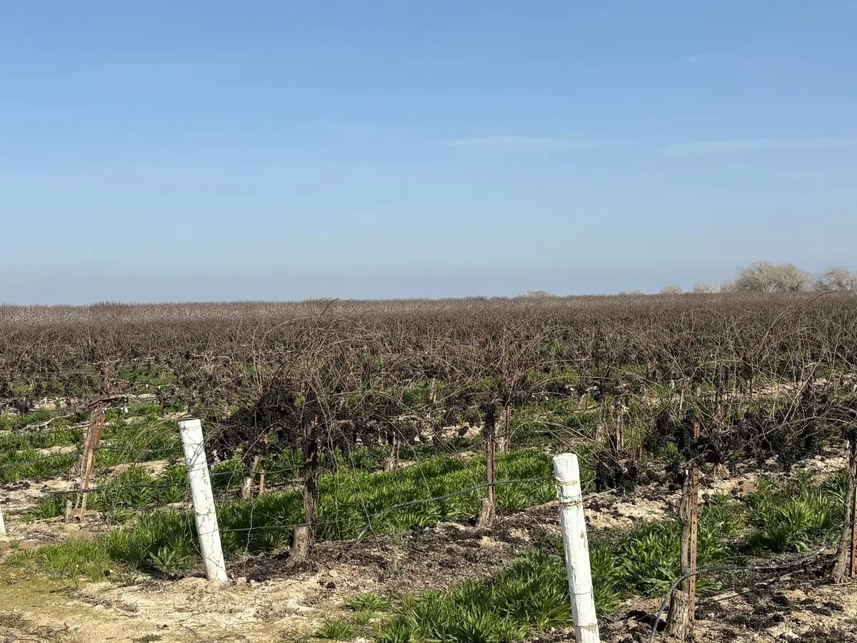 17600 Jerrold, Mendota, CA 93640 - #1