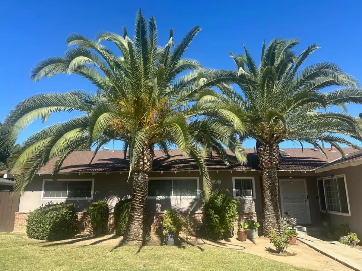 1708 W Simpson, Fresno, CA 93705 - #1