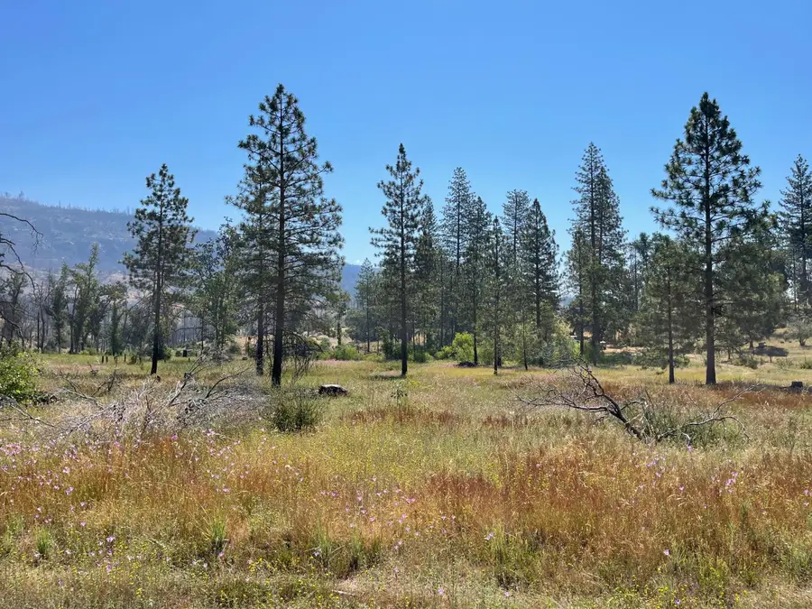34344 Shaver Springs Road, Auberry, CA 93602 - #2