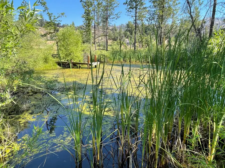 34344 Shaver Springs Road, Auberry, CA 93602 - #3