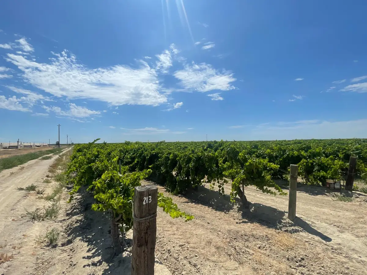 1 S Plumas Avenue, Kerman, CA 93630 - #1