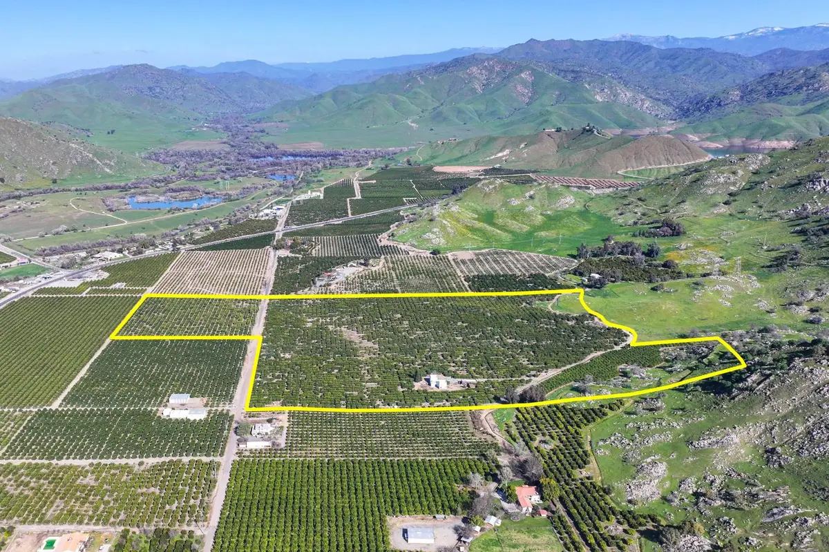 32204 Road 248, Lemon Cove, CA 93244 - #1