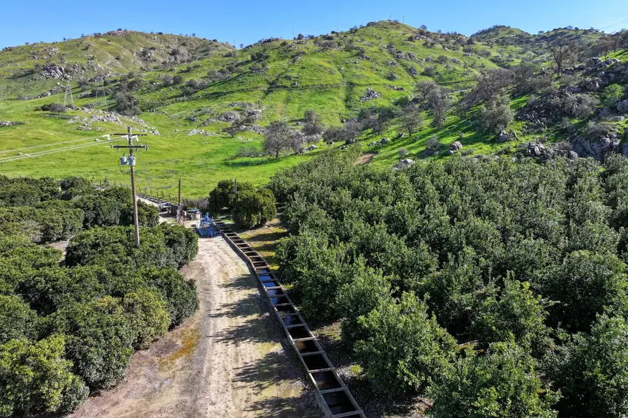32204 Road 248, Lemon Cove, CA 93244 - #2