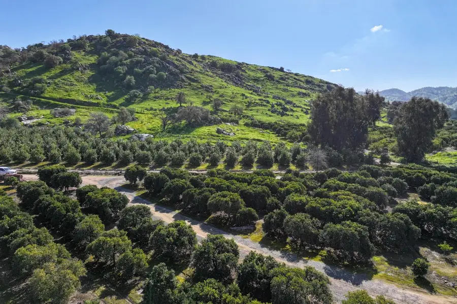 32204 Road 248, Lemon Cove, CA 93244 - #3