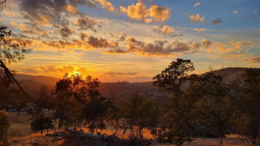 29030 Crystal Spings Ct, Coarsegold, CA 93614 - #2