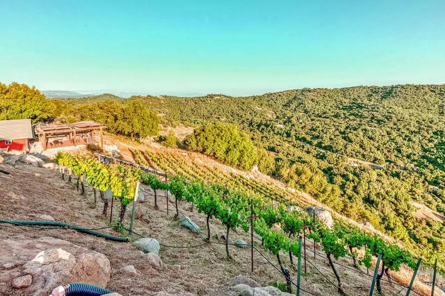 50806 Bramble Lane, Yokuts Valley, CA 93675 - #2