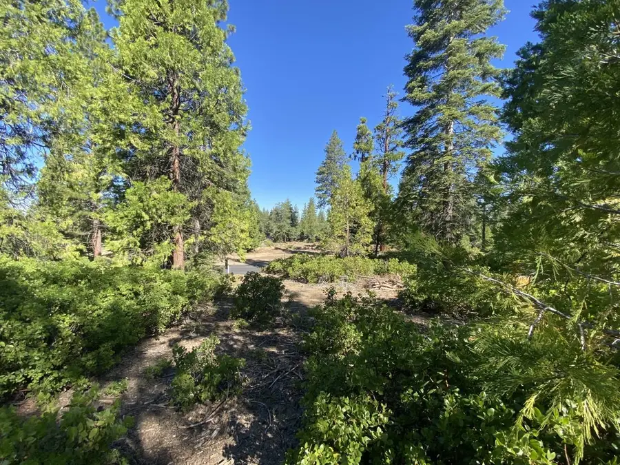 42437 Bretz Point Lane, Shaver Lake, CA 93664 - #2