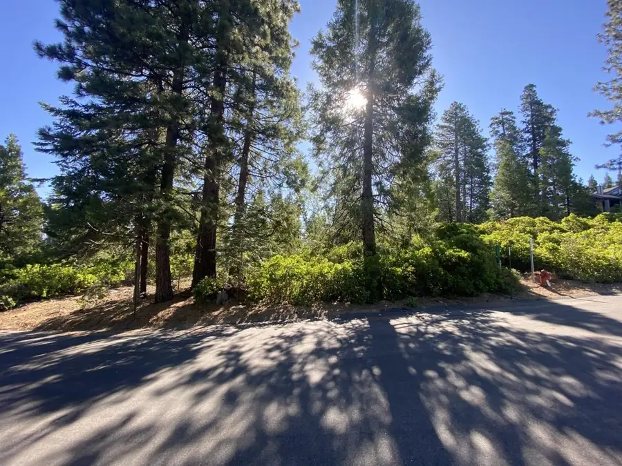 42437 Bretz Point Lane, Shaver Lake, CA 93664 - #3