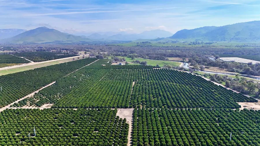 19188 E Trimmer Springs Road, Sanger, CA 93657 - #2