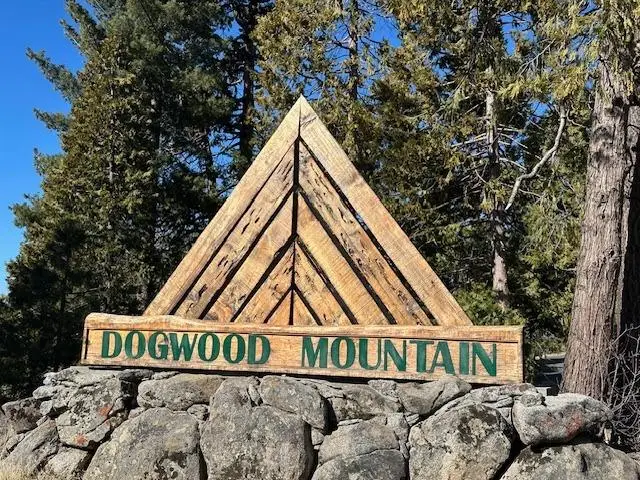 39915 Big Shuteye Lane, Shaver Lake, CA 93664 - #1