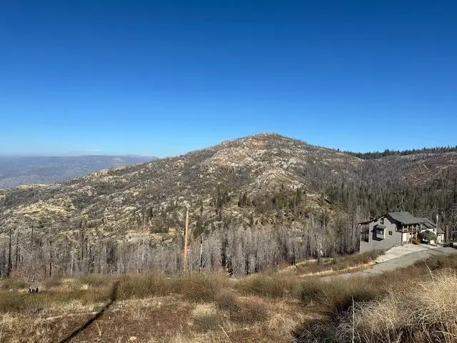 39915 Big Shuteye Lane, Shaver Lake, CA 93664 - #2