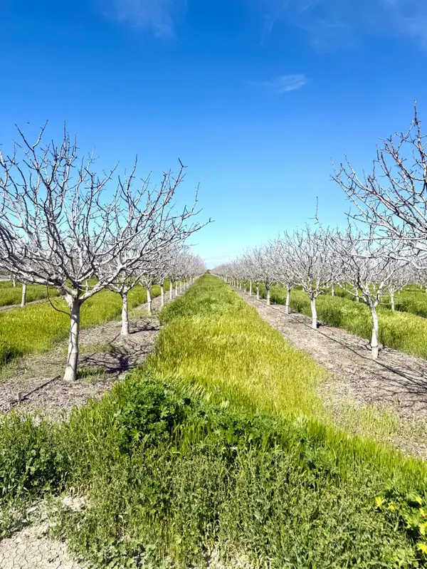 1 W Parlier, Tranquillity, CA 93668