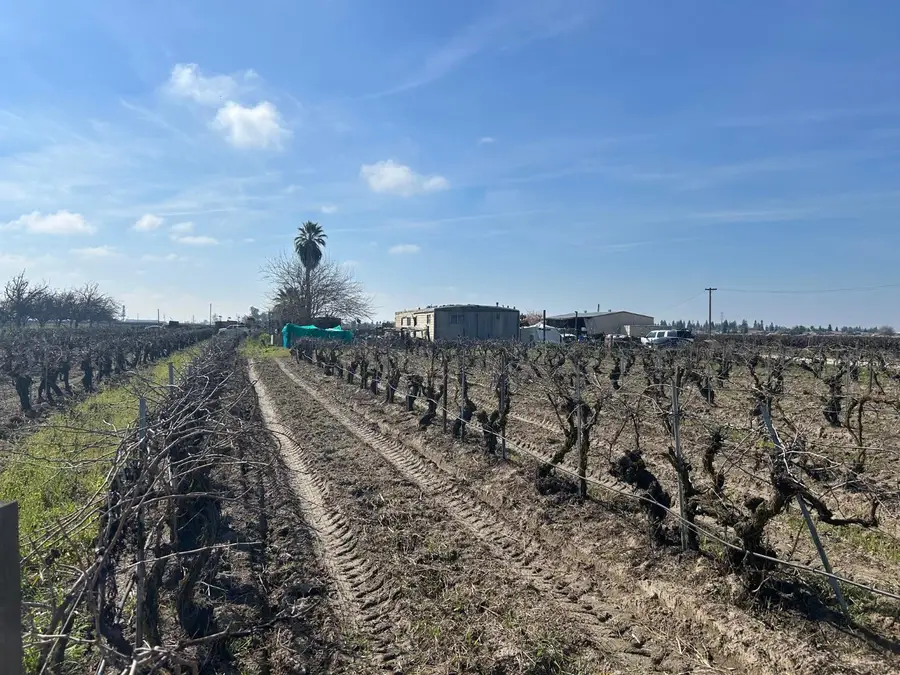 9577 S Del Rey Avenue, Selma, CA 93662 - #2