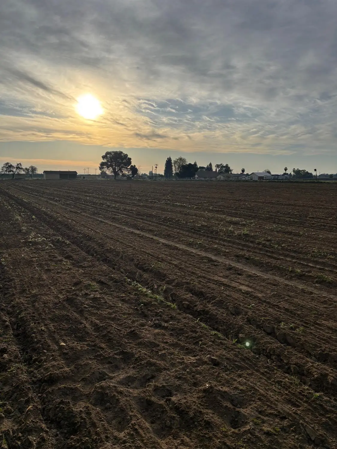 9449 S Mccall Avenue, Selma, CA 93662 - #1