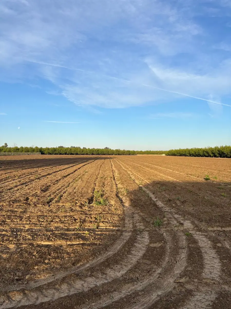 9449 S Mccall Avenue, Selma, CA 93662 - #2