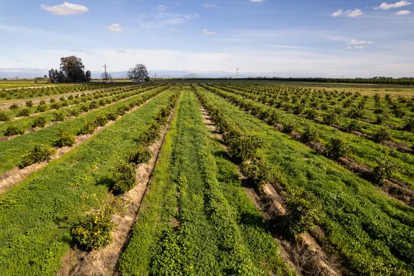 2334 S Temperance Avenue, Fresno, CA 93725