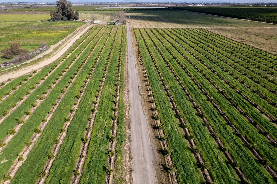 2334 S Temperance Avenue, Fresno, CA 93725 - #2