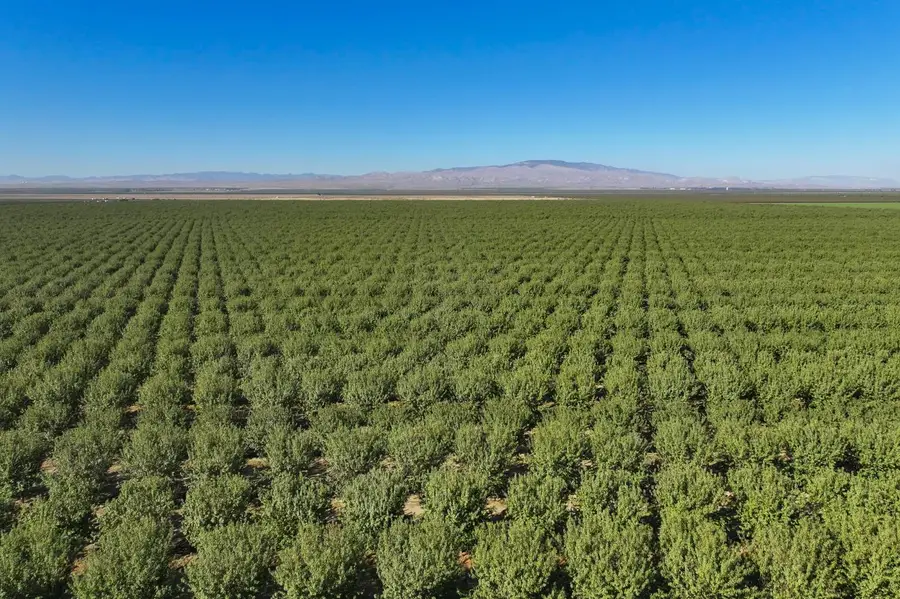 0 W Stutz Extension, Coalinga, CA 93210 - #3