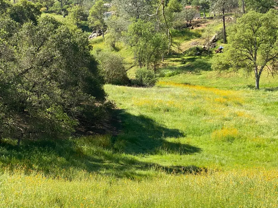 17 Titan Way, Coarsegold, CA 93614 - #3