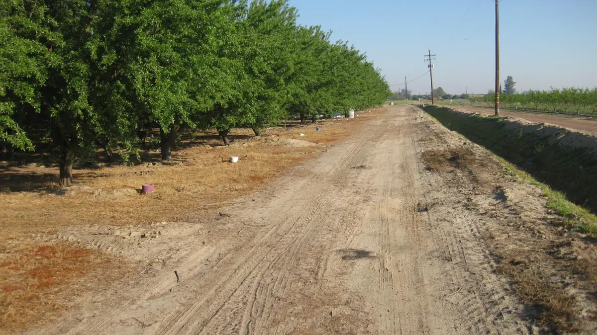 15270 S Mccall Avenue, Kingsburg, CA 93631 - #1