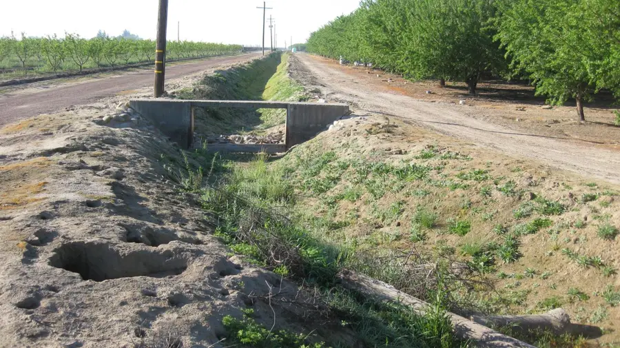 15270 S Mccall Avenue, Kingsburg, CA 93631 - #3