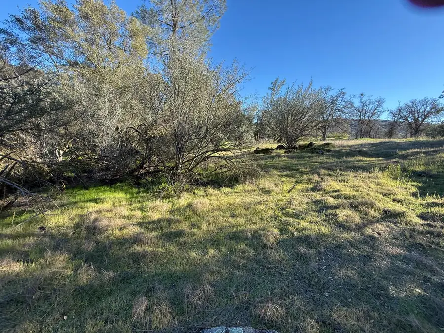 1631 Long Hollow Drive #1631, Coarsegold, CA 93614 - #2