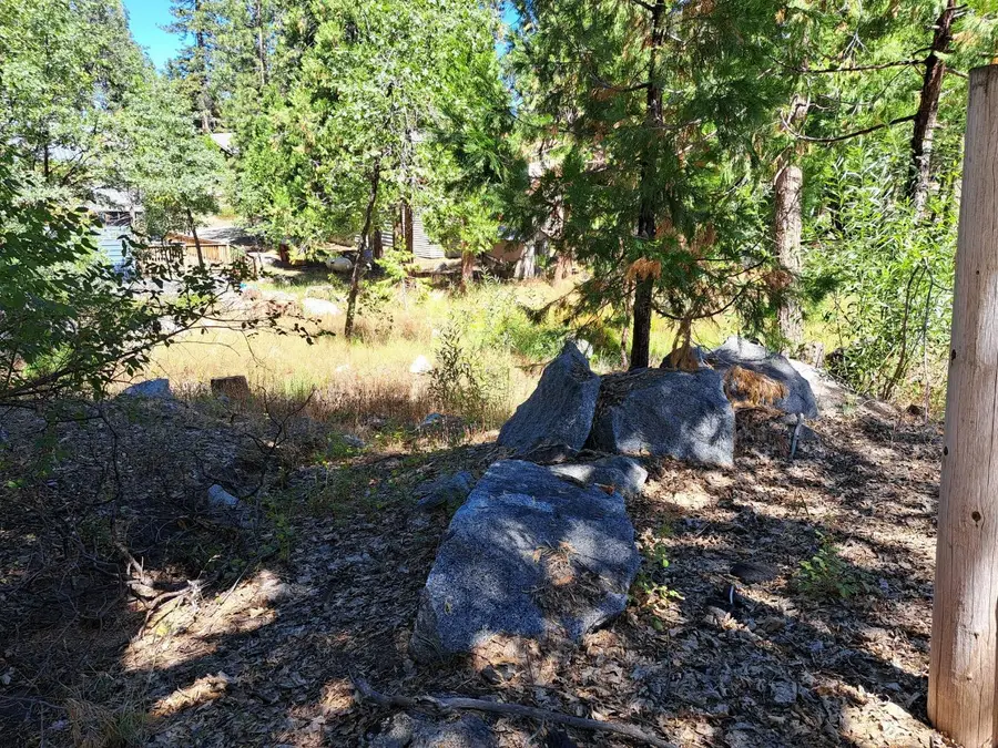 41290 Kokanee Lane, Shaver Lake, CA 93664 - #2