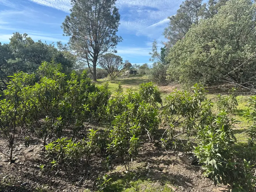 9 Quartz Ridge Court, Coarsegold, CA 93614 - #2