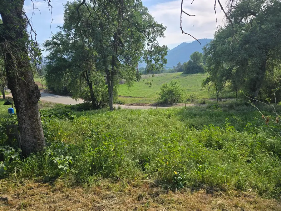 40210 Millwood Road, Dunlap, CA 93621 - #2