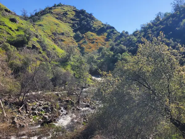 40 Trimmer Springs Rd, Miramonte, CA 93657