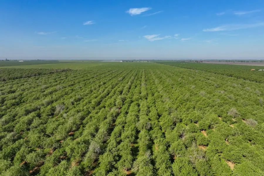 0 Le Grand Road, Le Grand, CA 95333 - #3