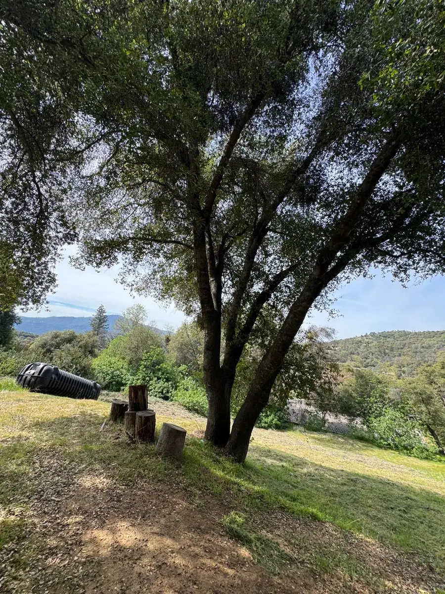 0 Shady Lane, Oakhurst, CA 93644 - #2