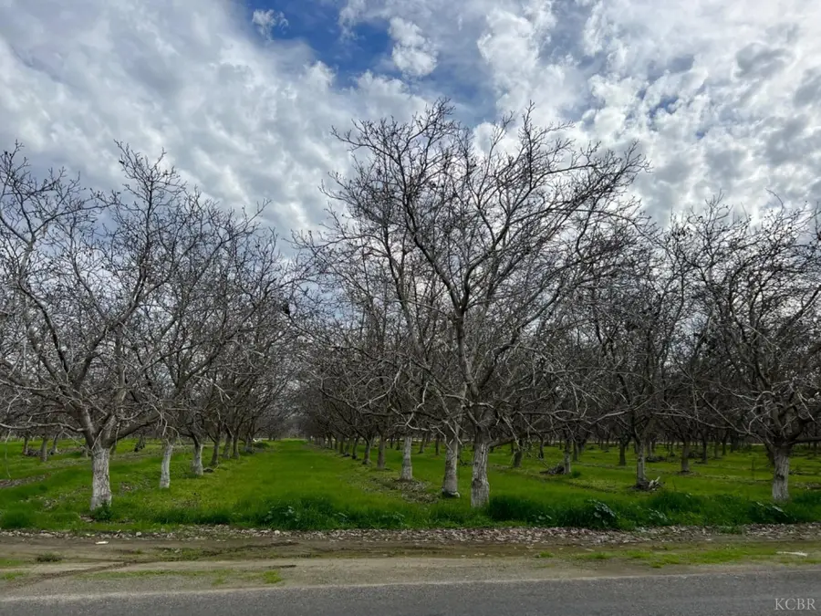 0 18 3/4 Avenue, Lemoore, CA 93245 - #2